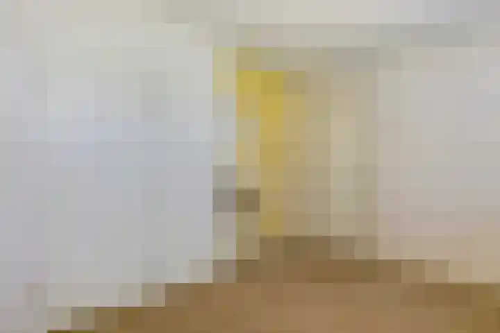 Halleyhof 5 Veldhoven thumbnail 24