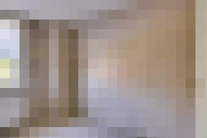 Halleyhof 5 Veldhoven thumbnail 25