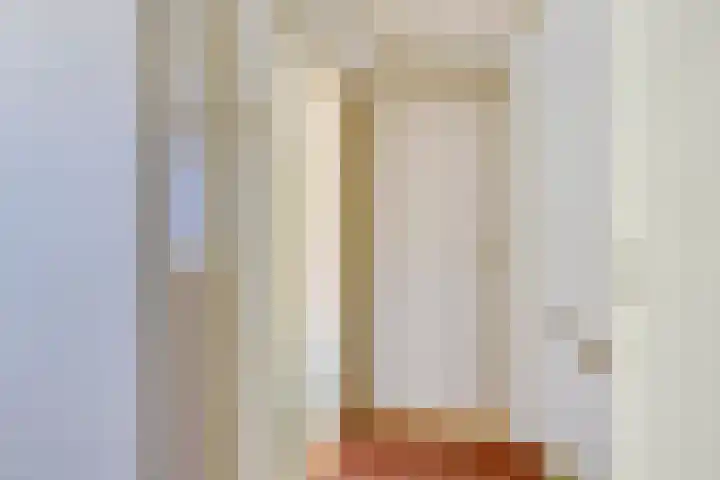 Halleyhof 5 Veldhoven thumbnail 28