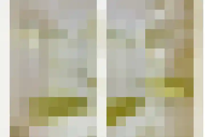 Halleyhof 5 Veldhoven thumbnail 29