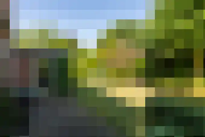 Halleyhof 5 Veldhoven thumbnail 31