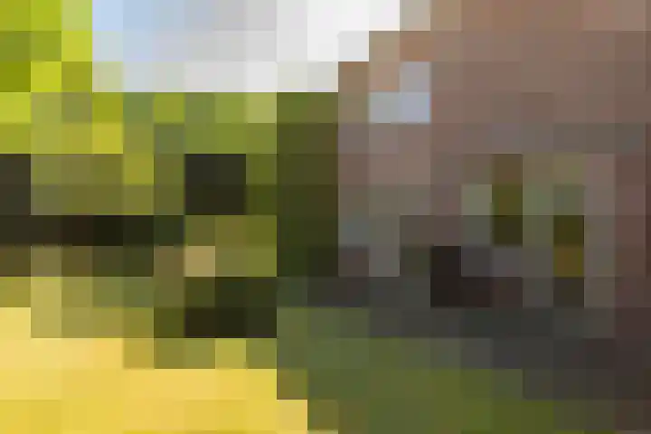 Halleyhof 5 Veldhoven thumbnail 32