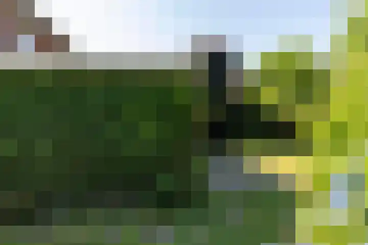 Halleyhof 5 Veldhoven thumbnail 33