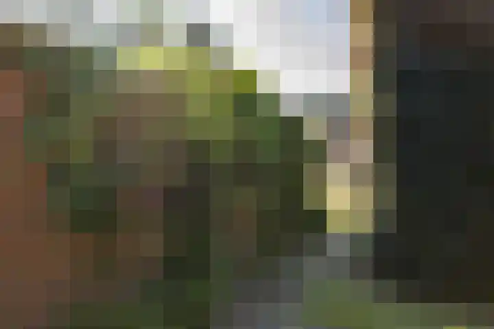Halleyhof 5 Veldhoven thumbnail 35