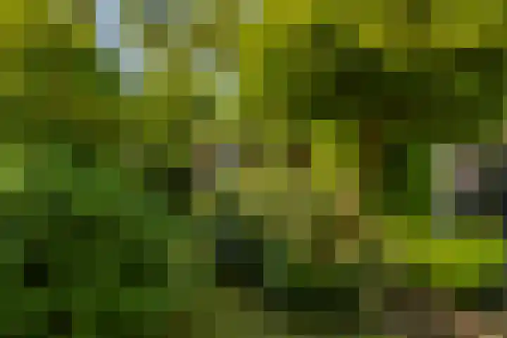 Halleyhof 5 Veldhoven thumbnail 36