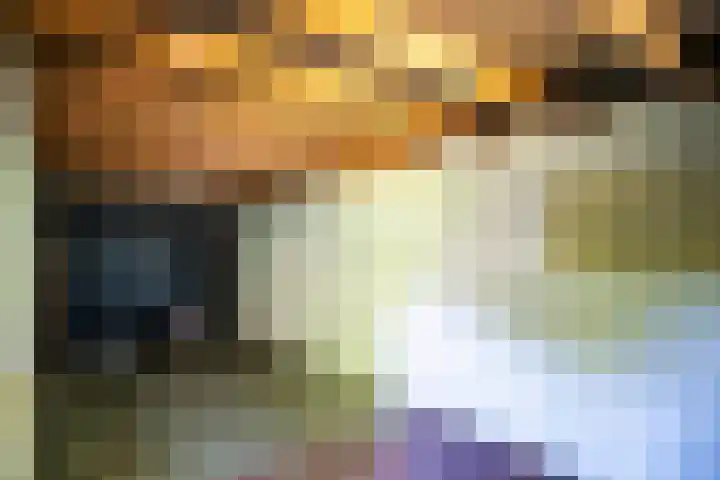 Halleyhof 5 Veldhoven thumbnail 38