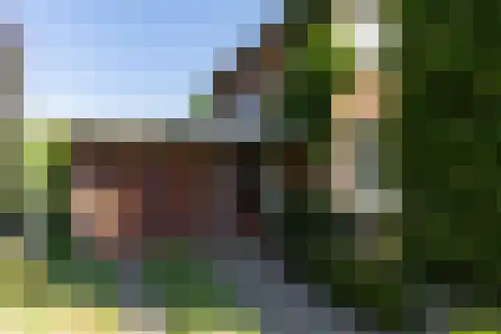 Halleyhof 5 Veldhoven thumbnail 39