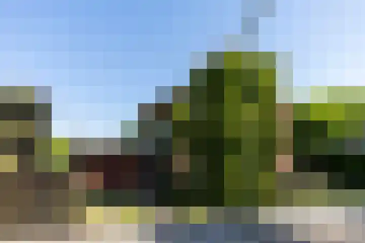 Halleyhof 5 Veldhoven thumbnail 40