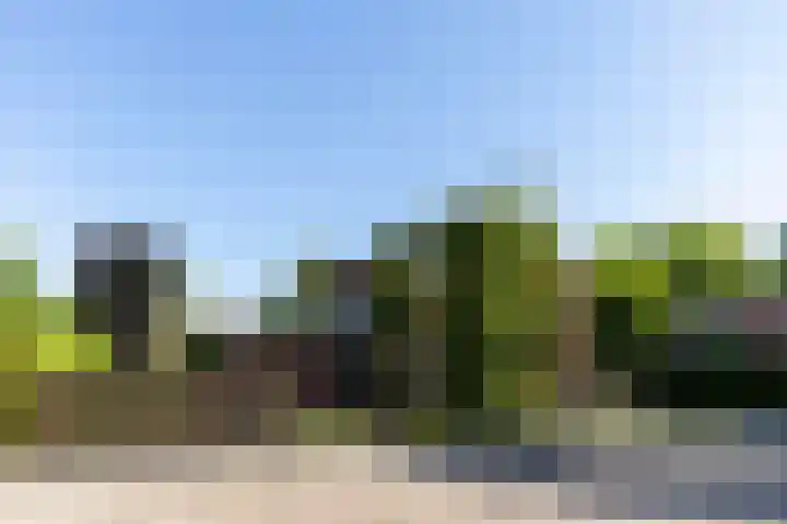 Halleyhof 5 Veldhoven thumbnail 41