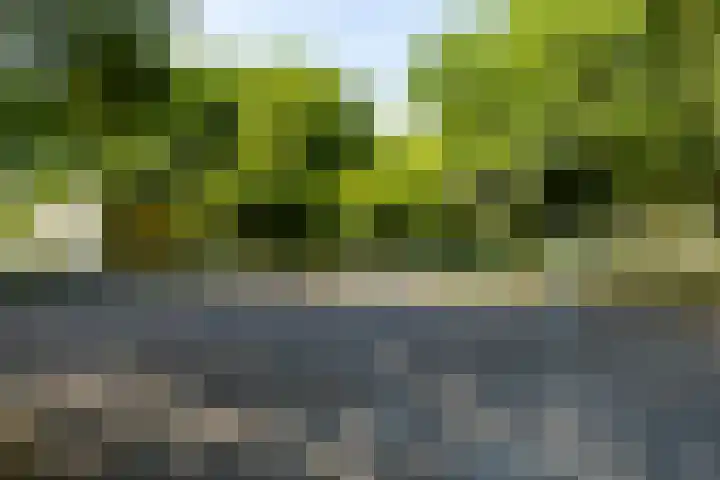 Halleyhof 5 Veldhoven thumbnail 46