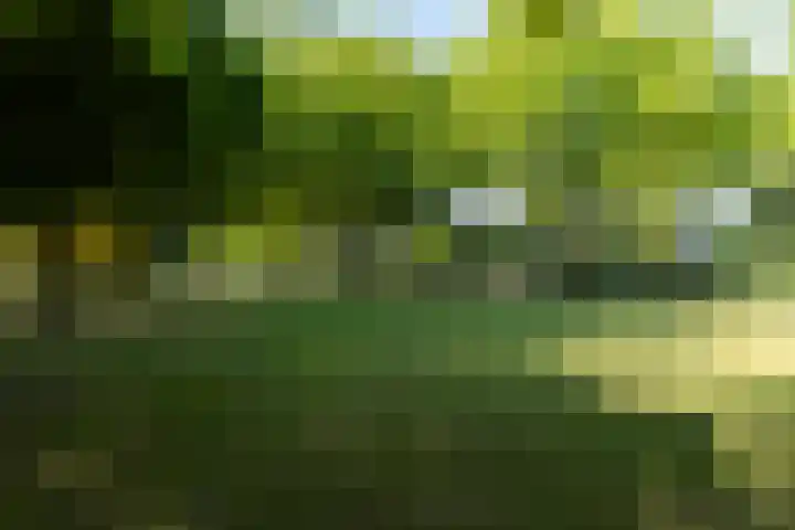 Halleyhof 5 Veldhoven thumbnail 47