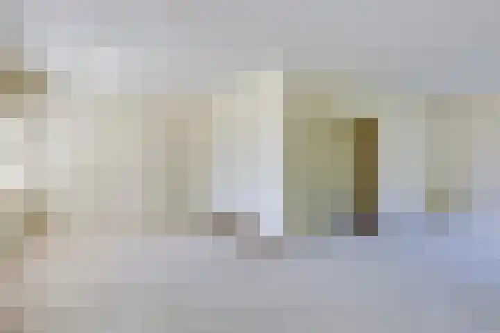 Halleyhof 5 Veldhoven thumbnail 6