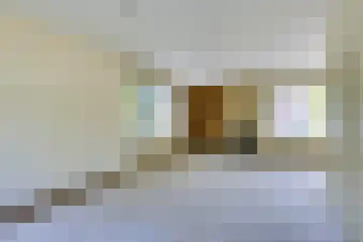 Halleyhof 5 Veldhoven thumbnail 9