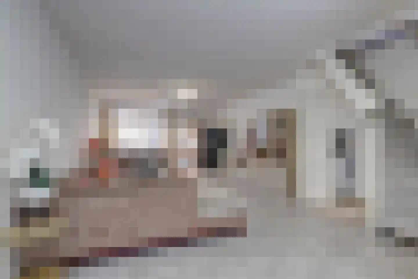 Halleystraat 11 Schiedam foto 2