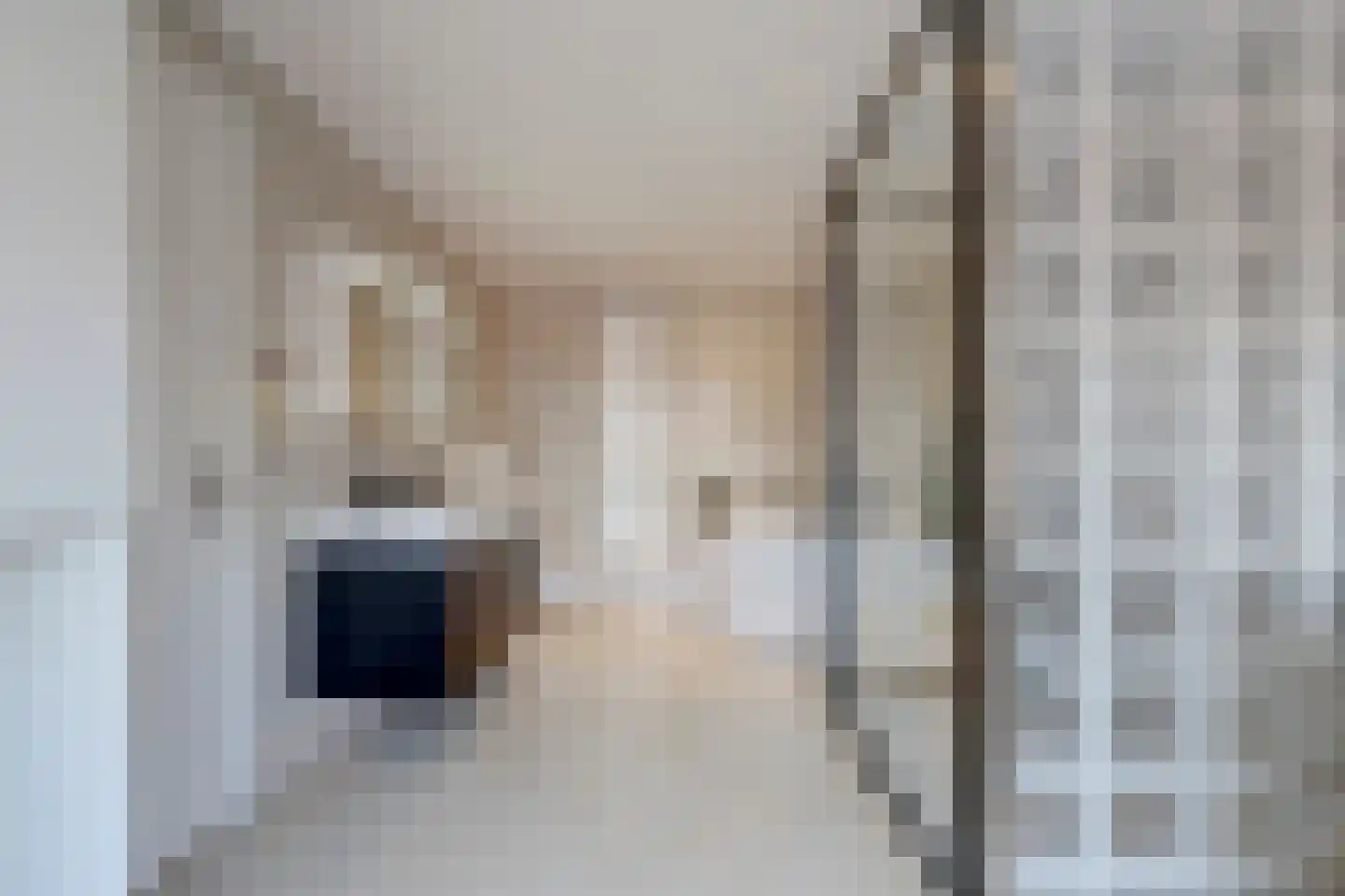 Halleystraat 11 Schiedam thumbnail 21