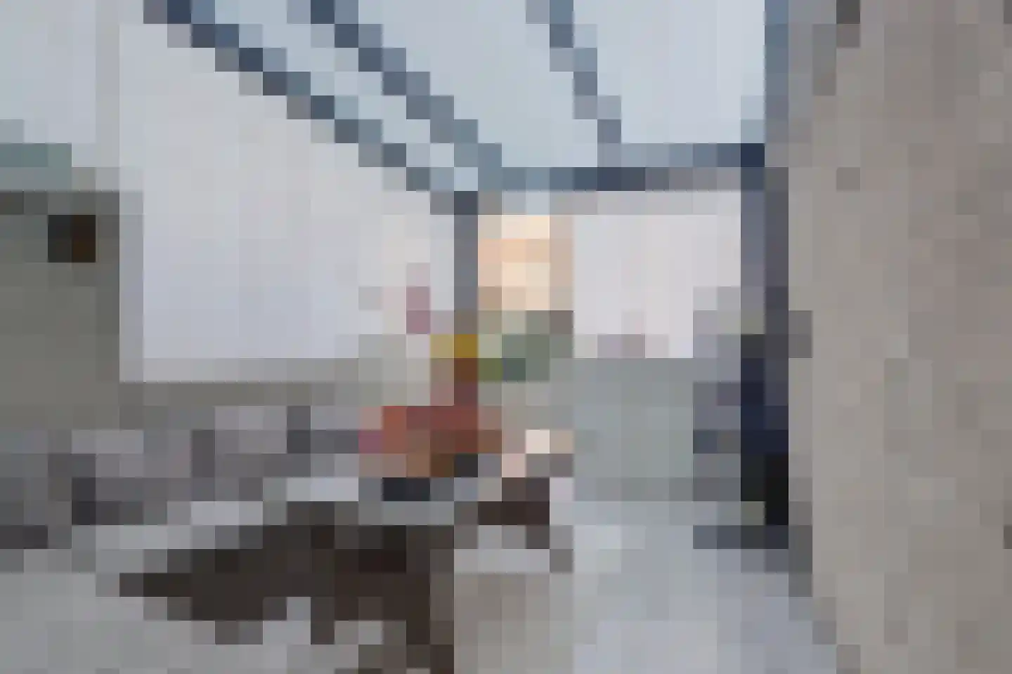 Halleystraat 11 Schiedam thumbnail 36