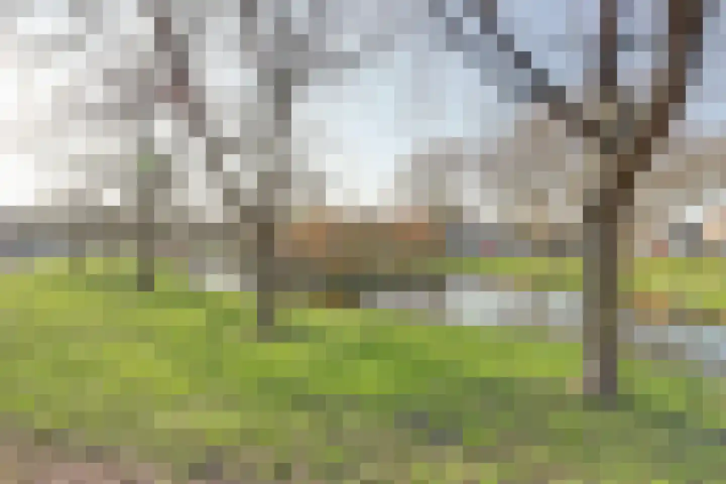 Halleystraat 11 Schiedam thumbnail 47