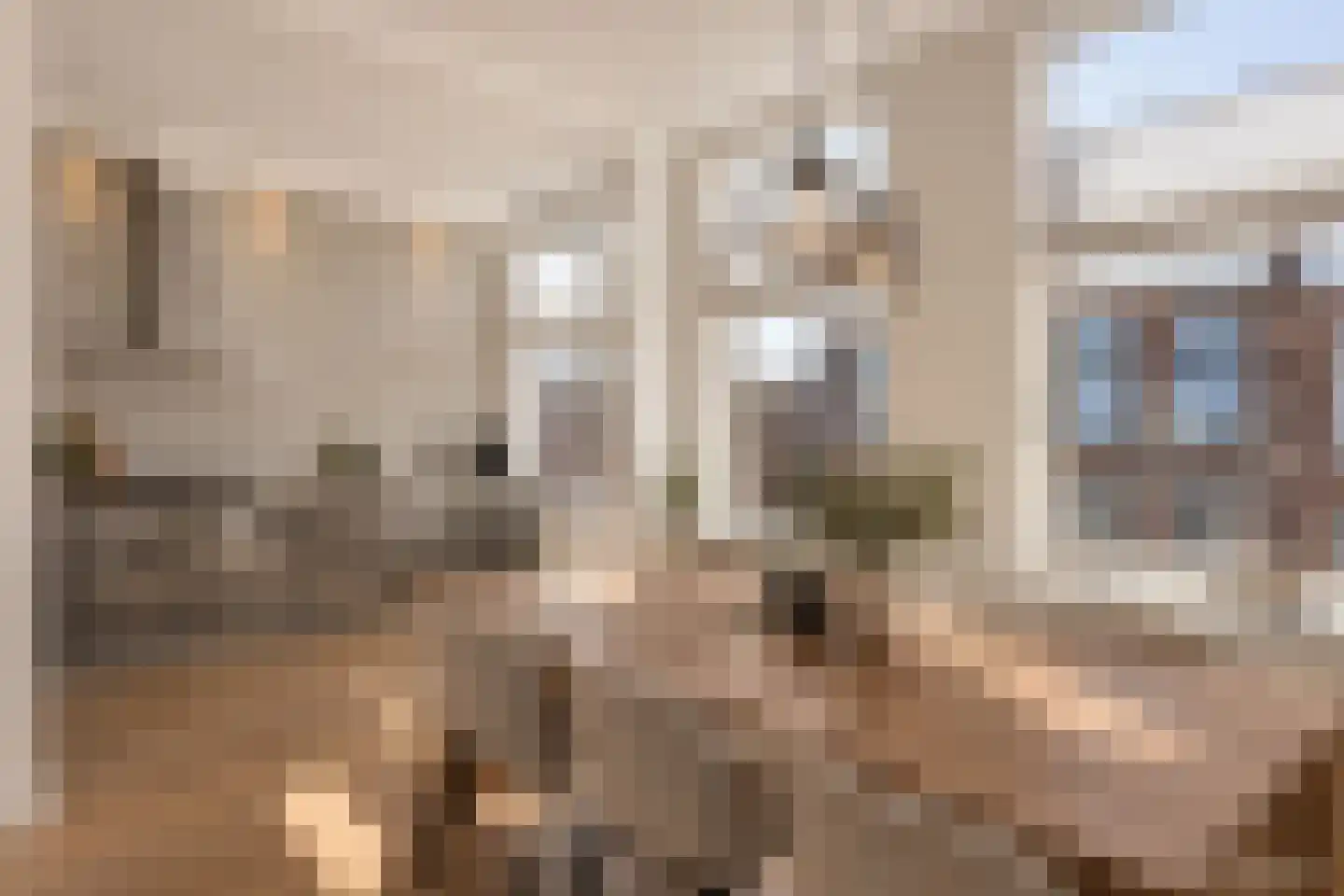 Halleystraat 15 Den Haag thumbnail 14