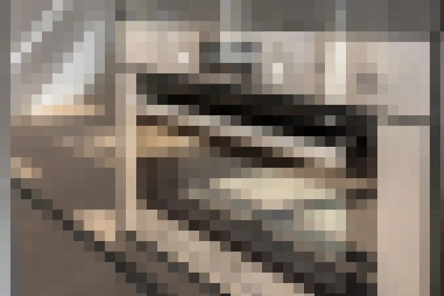 Halleystraat 15 Den Haag thumbnail 17