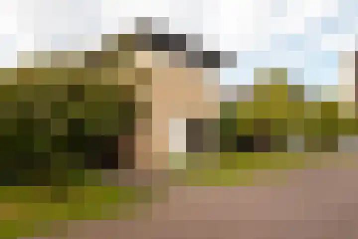 Halleystraat 17 Bergen op Zoom thumbnail 30