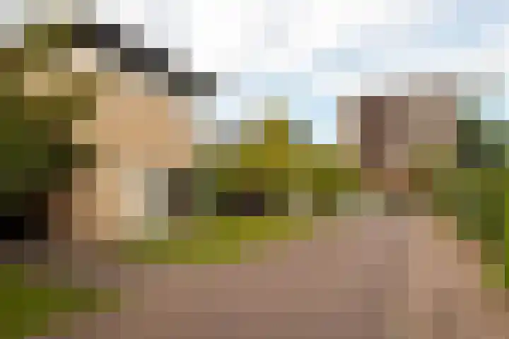 Halleystraat 17 Bergen op Zoom thumbnail 31