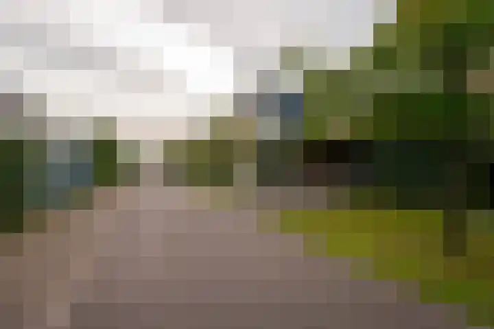 Halleystraat 17 Bergen op Zoom thumbnail 33