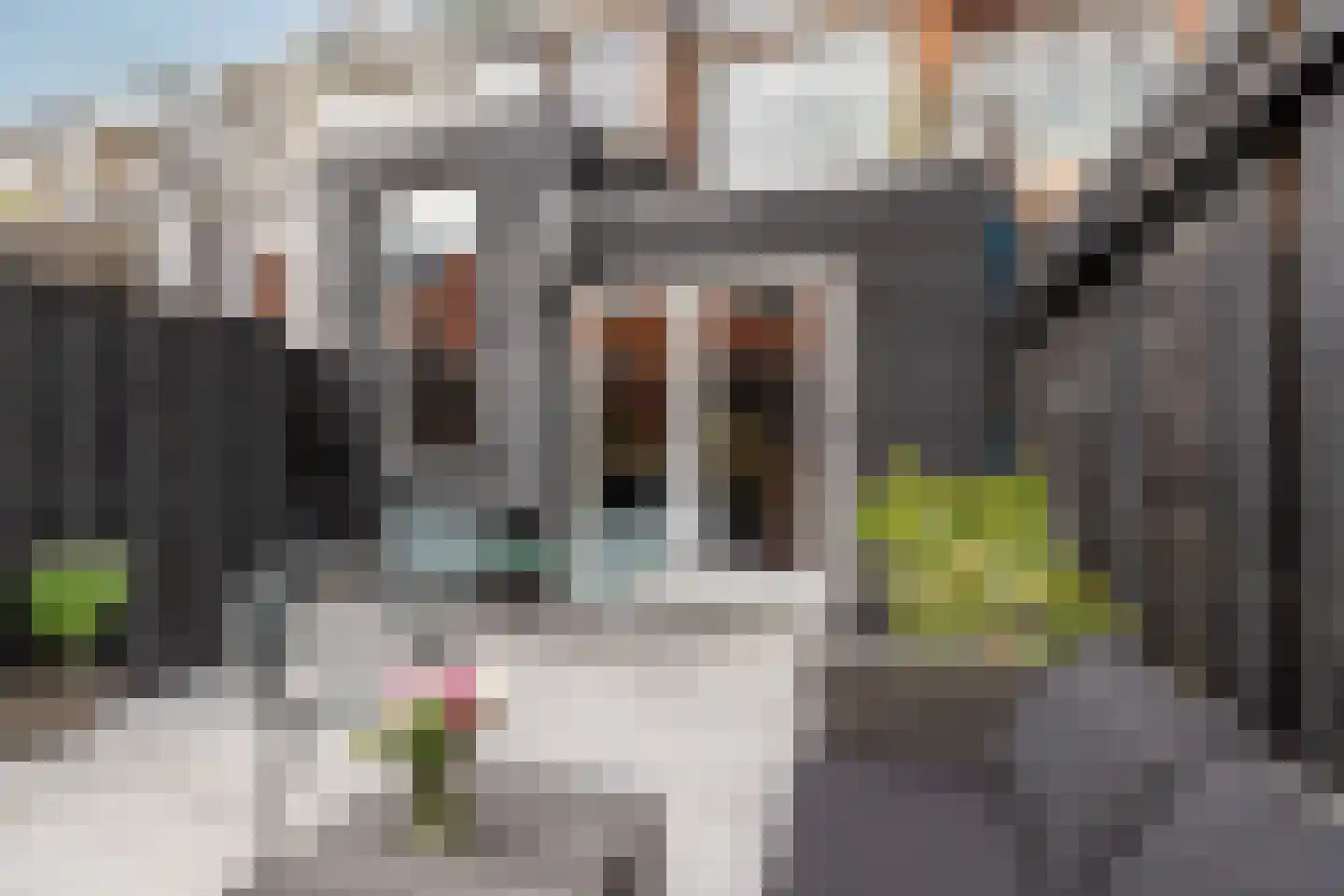 Halleystraat 23 A Schiedam thumbnail 40