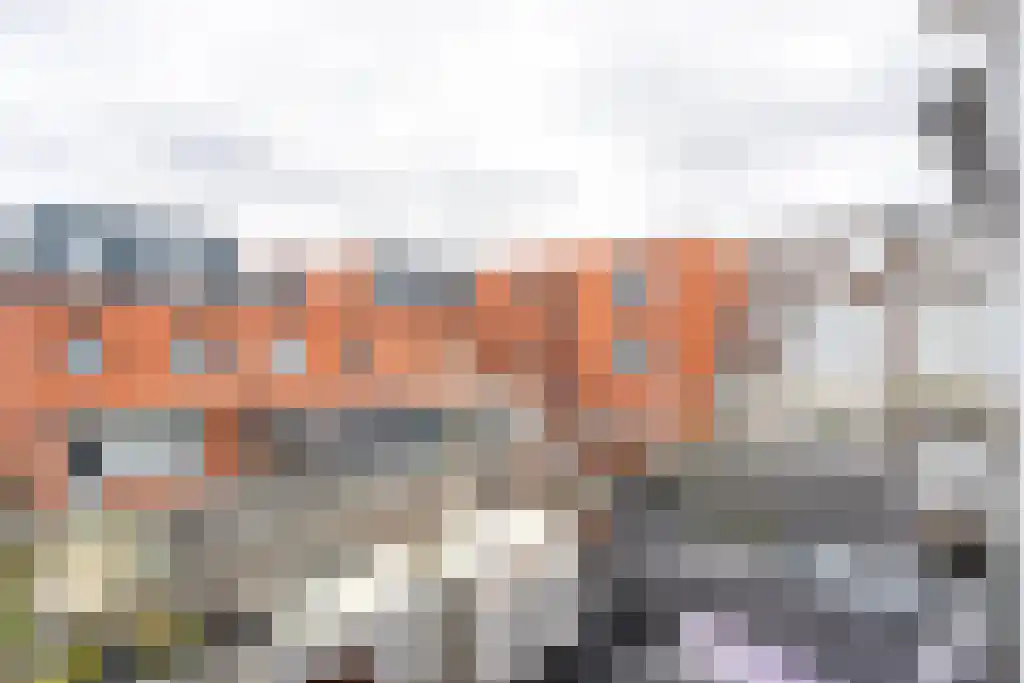Halleystraat 25 A Schiedam thumbnail 12