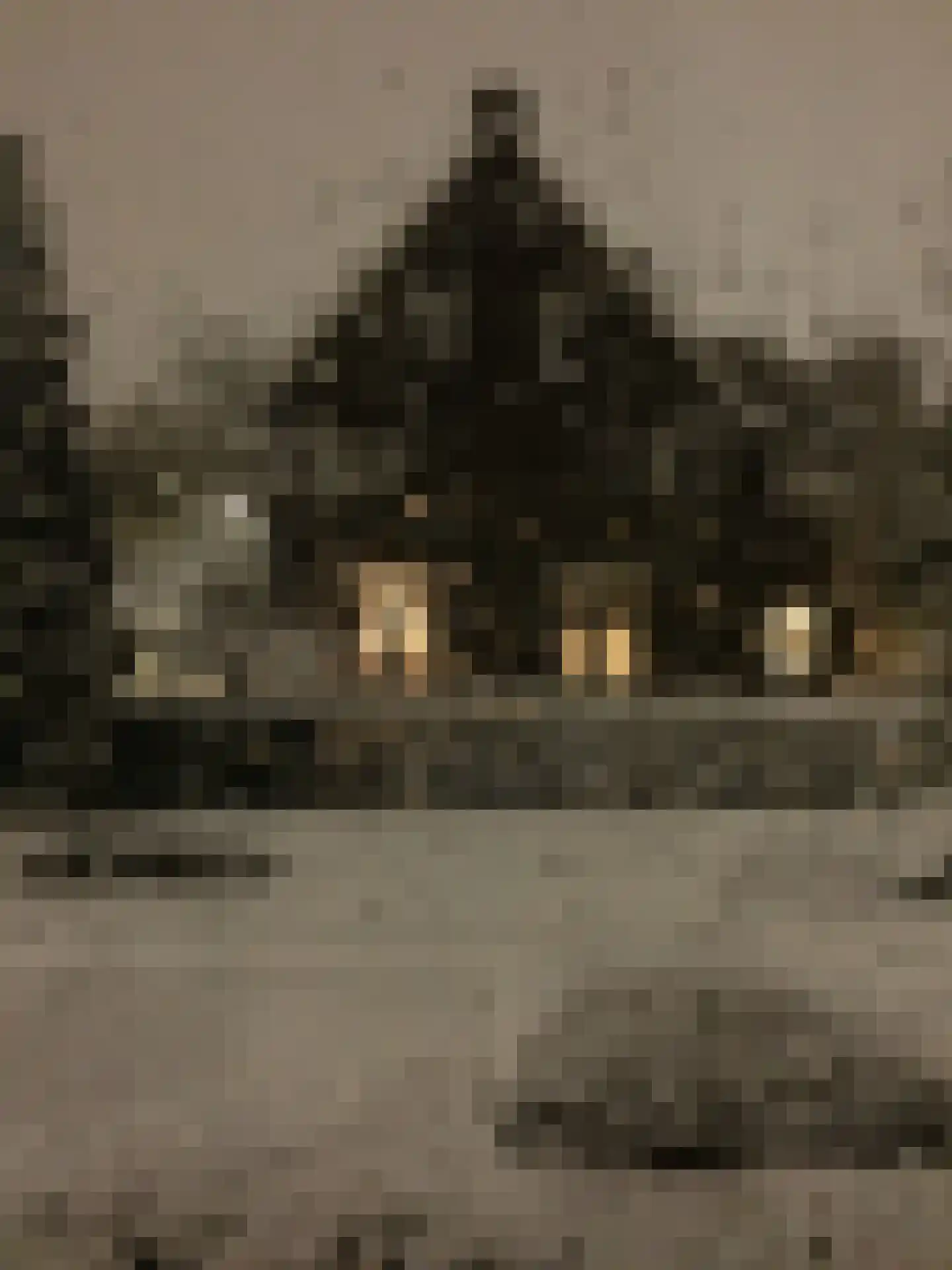 Halleystraat 25 A Schiedam thumbnail 27