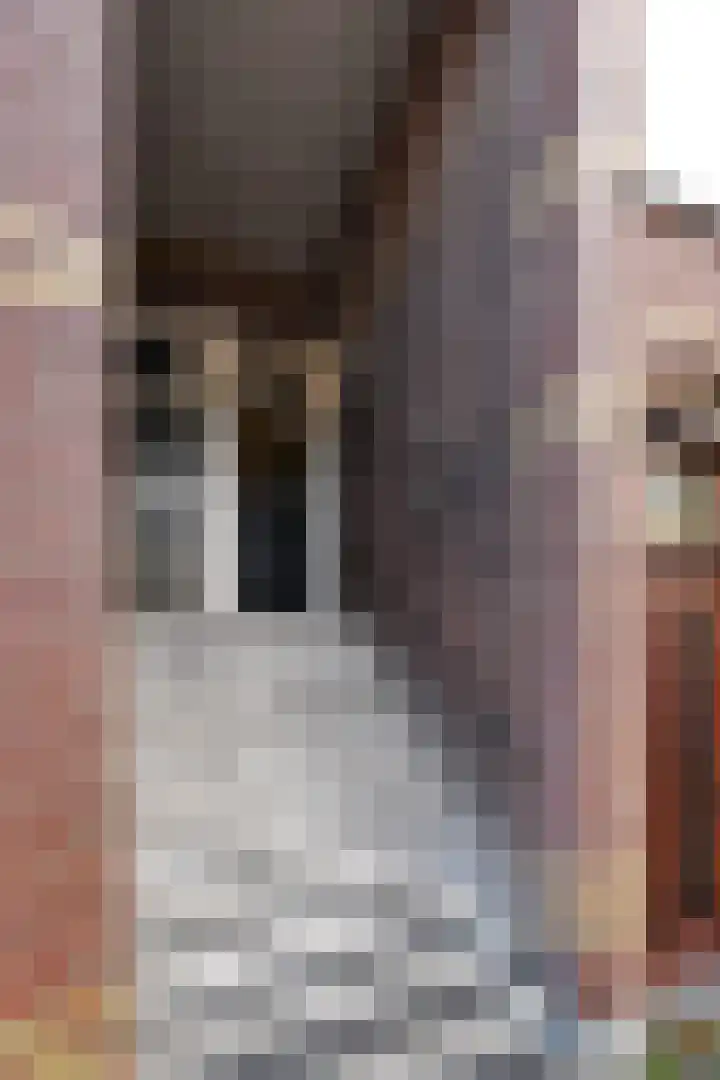 Halleystraat 38 Den Haag thumbnail 32