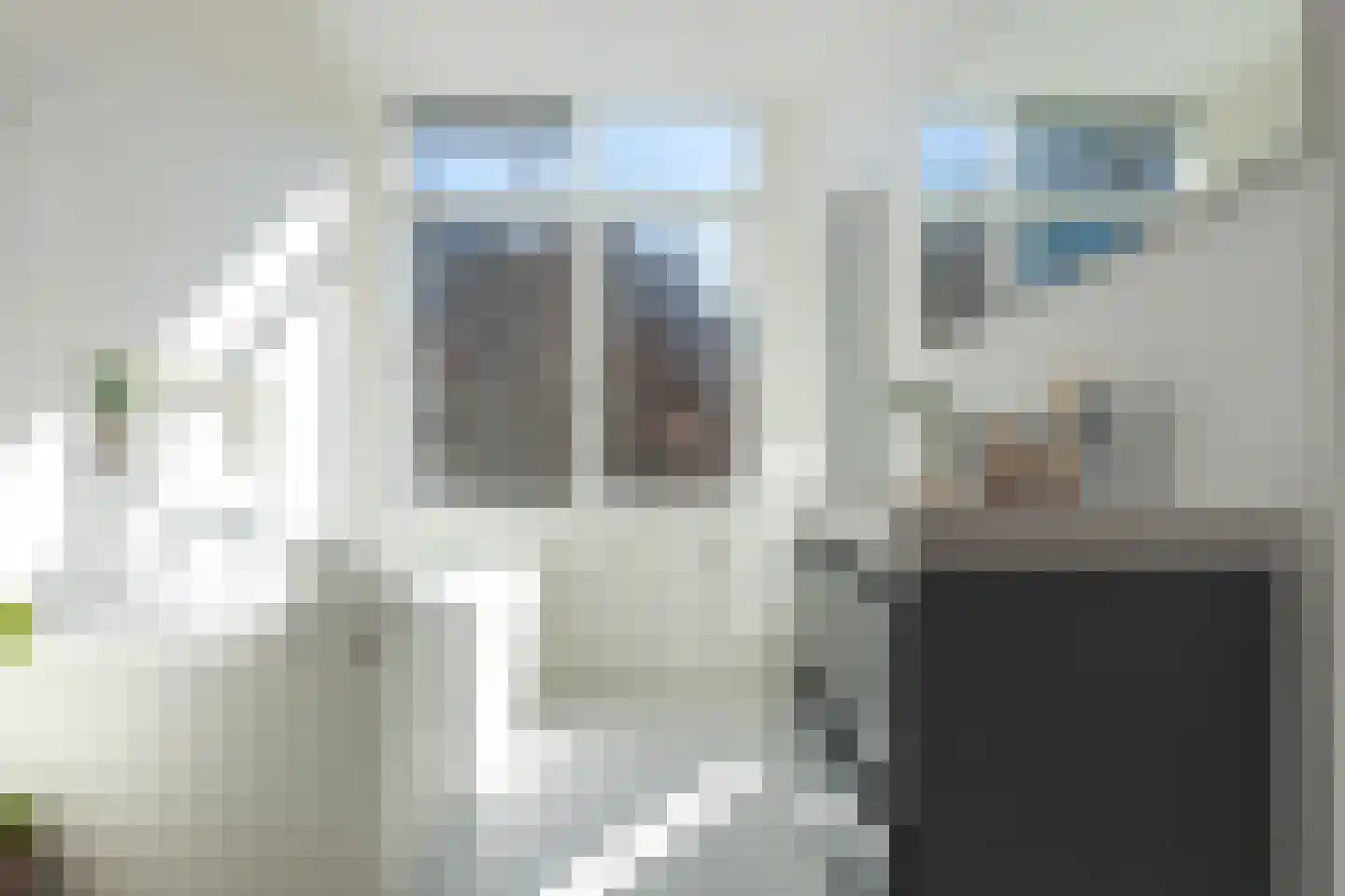 Halleystraat 4 Den Haag thumbnail 16