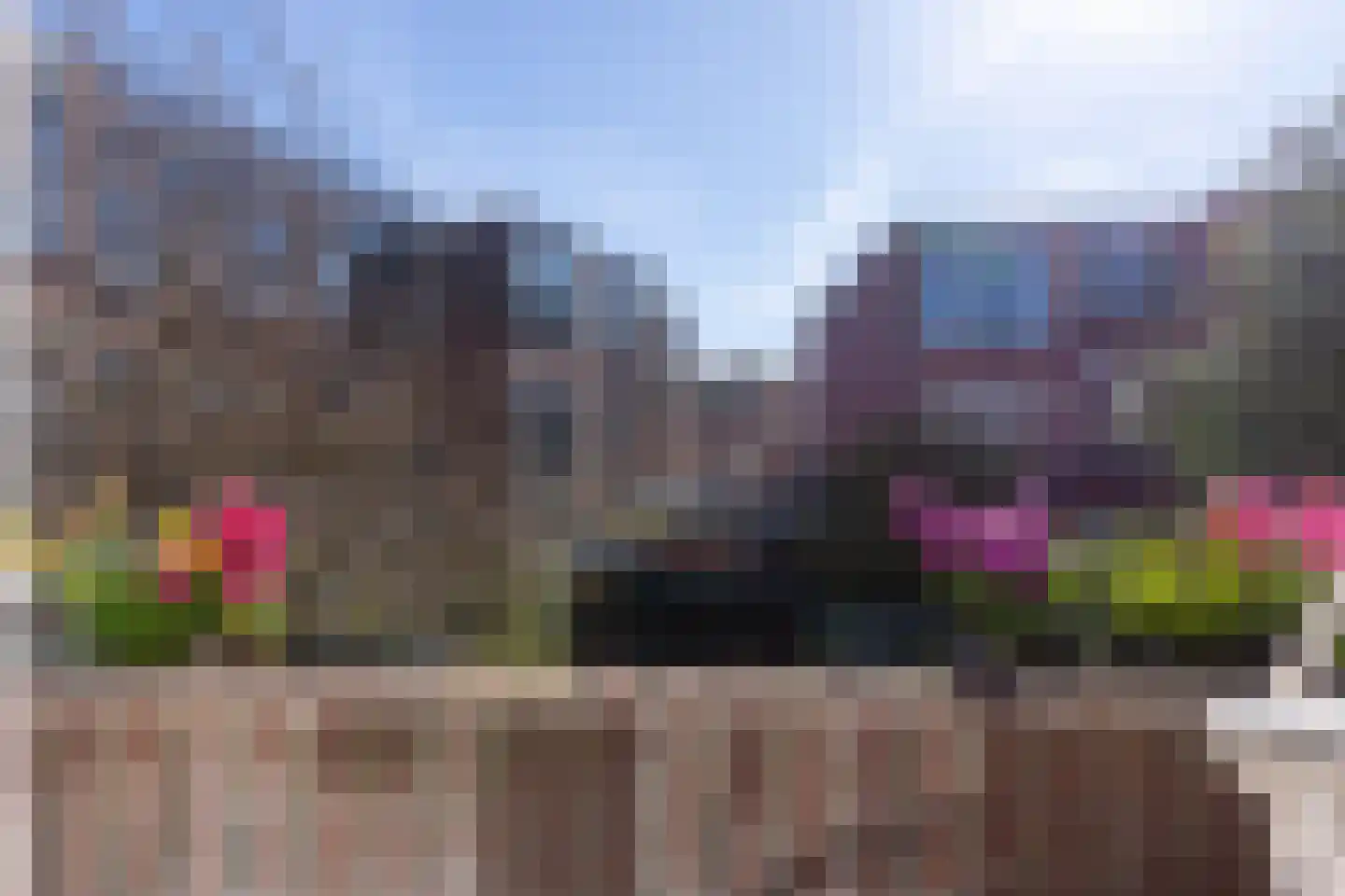 Halleystraat 4 Den Haag thumbnail 21