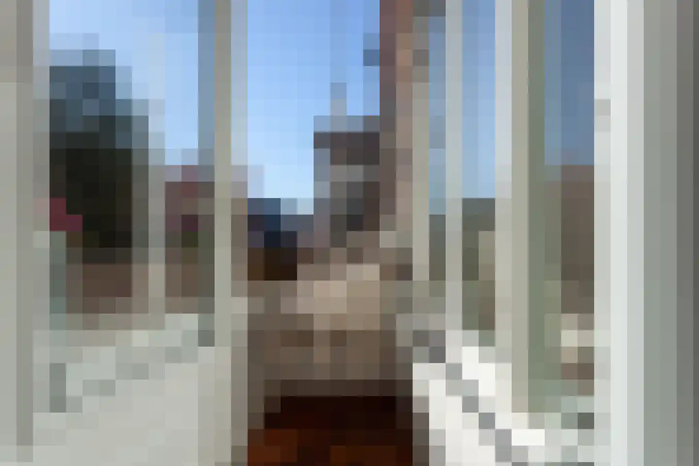 Halleystraat 4 Den Haag thumbnail 22