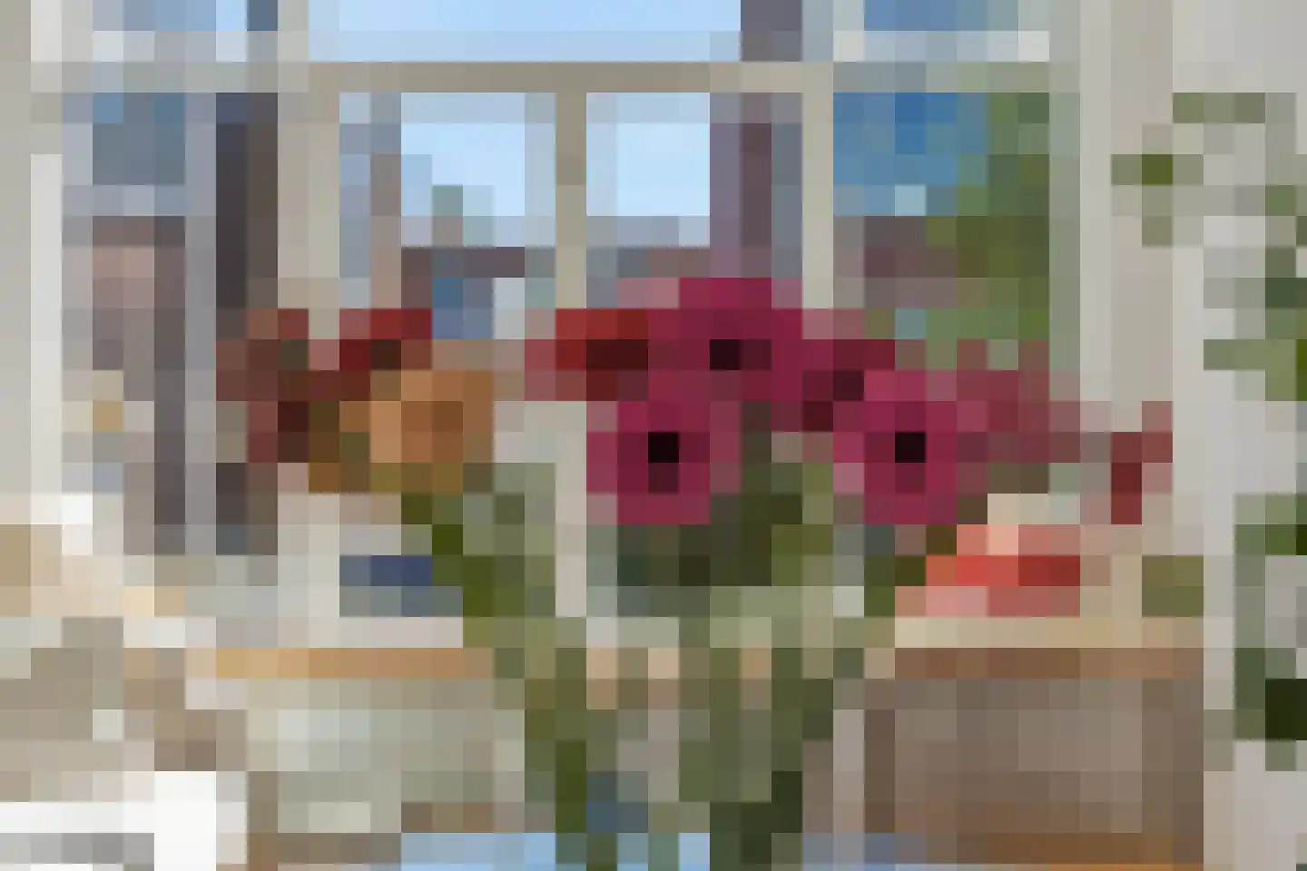 Halleystraat 4 Den Haag thumbnail 5