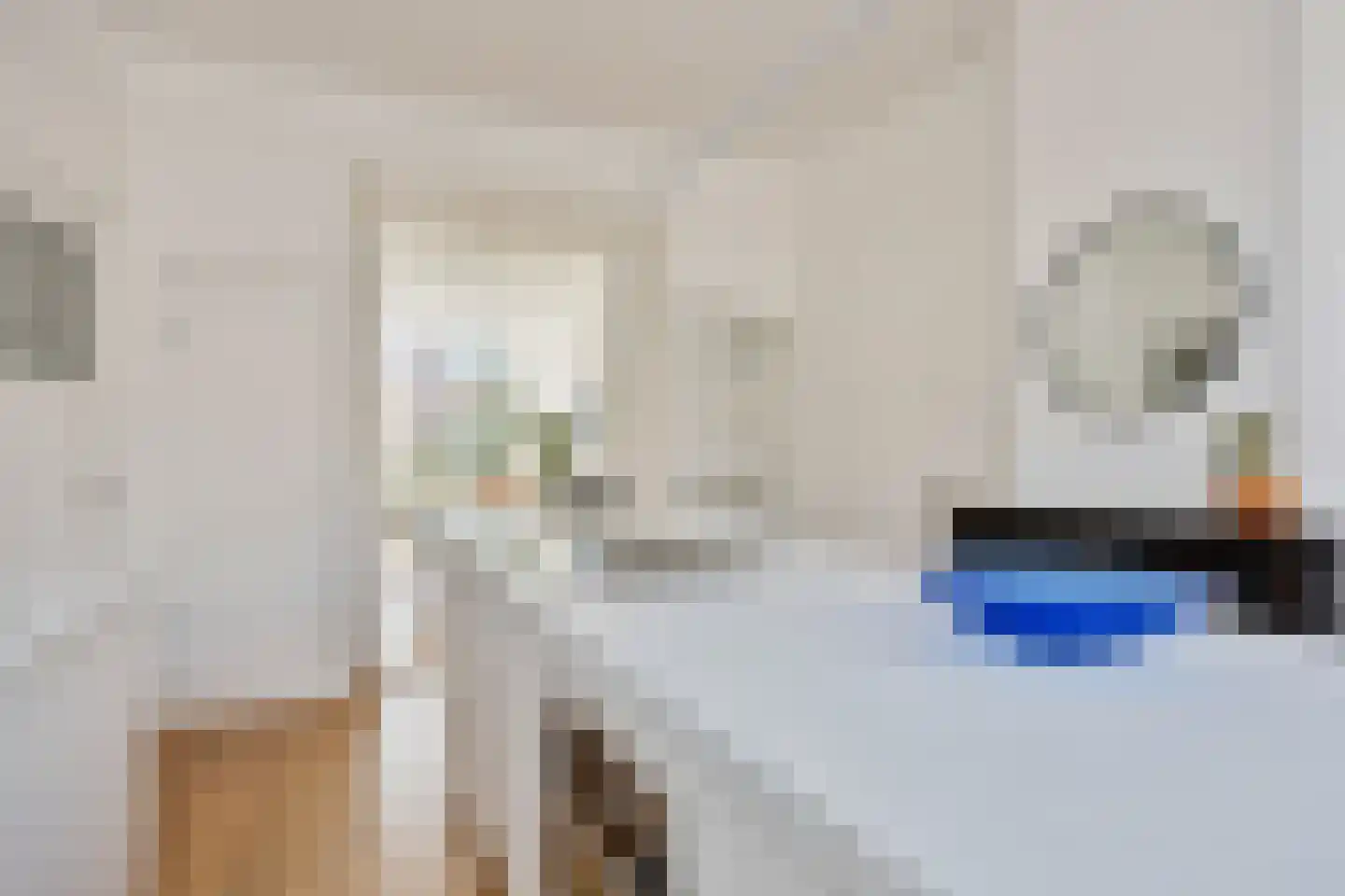 Halleystraat 4 Den Haag thumbnail 8