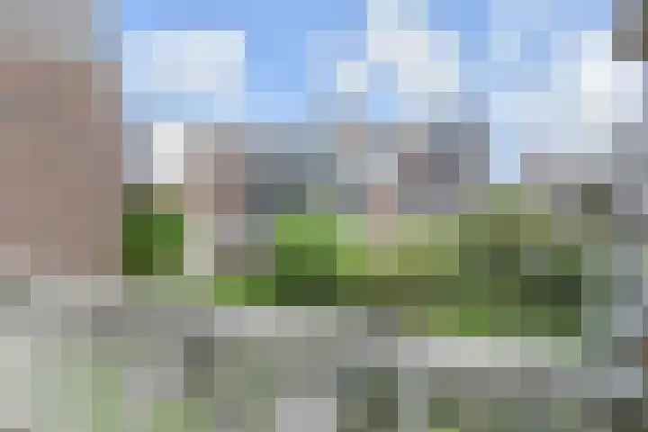 Halleystraat 52 Den Haag thumbnail 8