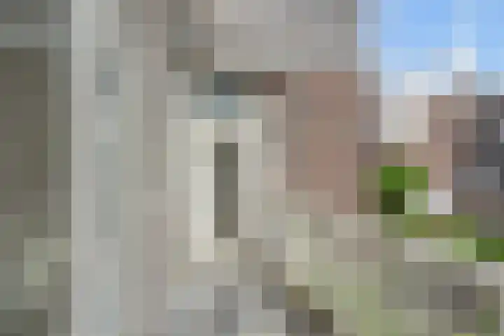 Halleystraat 52 Den Haag thumbnail 9