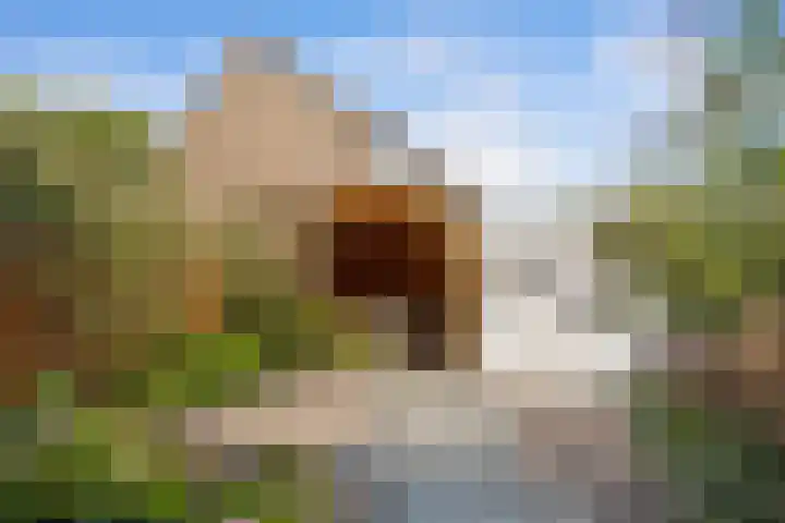 Halleyweg 14 Dordrecht thumbnail 17