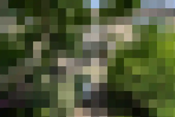 Halleyweg 14 Dordrecht thumbnail 44