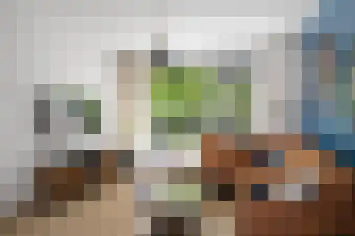 Halleyweg 14 Dordrecht thumbnail 8