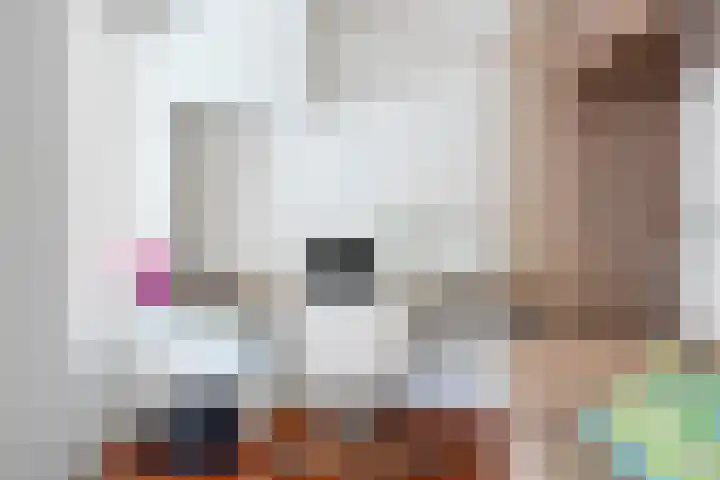 Halligen 4 Zaandam thumbnail 18