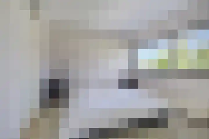 Halligen 4 Zaandam thumbnail 34