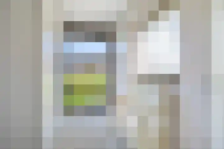 Halligen 4 Zaandam thumbnail 38