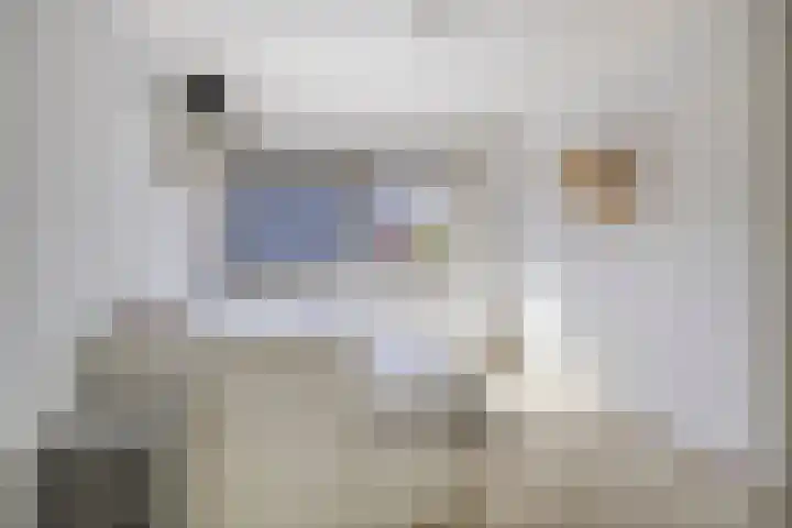Halligen 4 Zaandam thumbnail 44