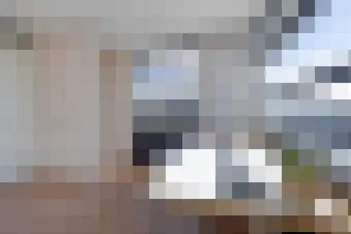 Halligen 4 Zaandam thumbnail 49