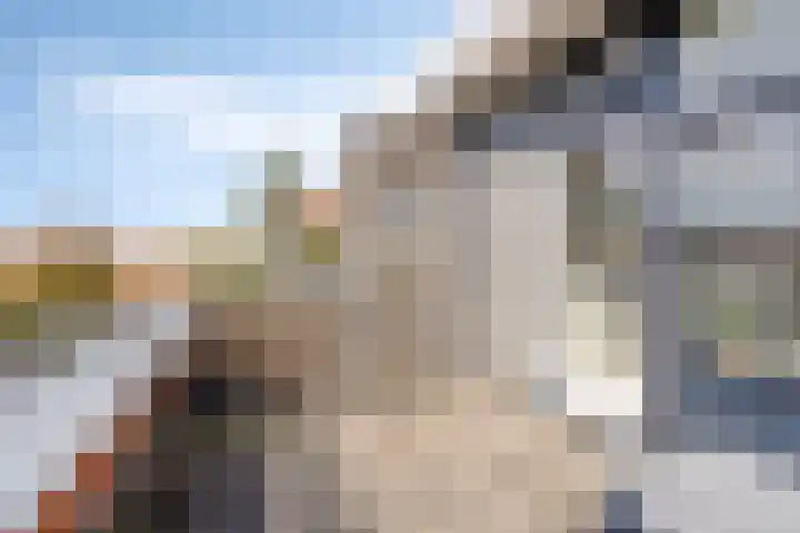 Halligen 4 Zaandam thumbnail 54