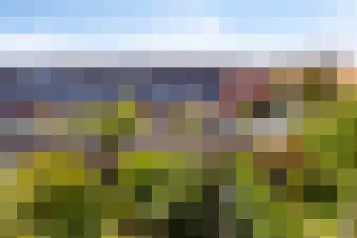 Halligen 4 Zaandam thumbnail 56