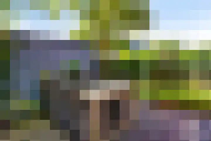 Halligen 4 Zaandam thumbnail 57