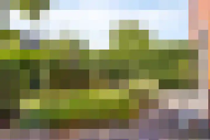 Halligen 4 Zaandam thumbnail 58
