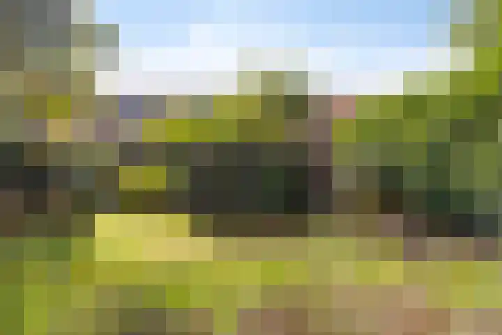 Halligen 4 Zaandam thumbnail 59